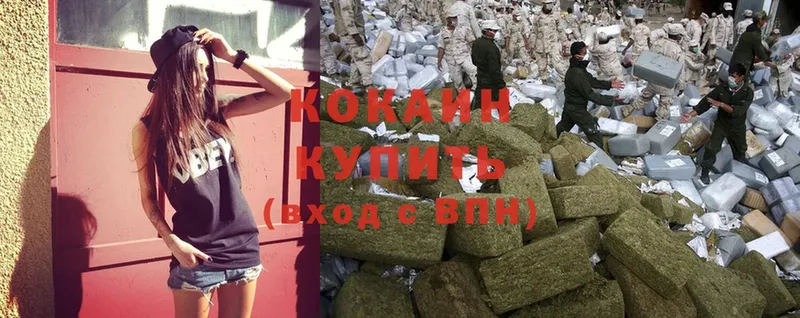 Cocaine Боливия  Новодвинск 