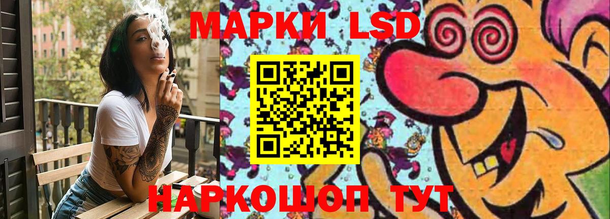 Меф Новодвинск