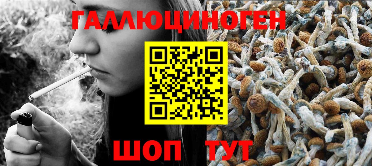 хочу   Псилоцибиновые грибы Cubensis  Вход с VPN  Новодвинск 