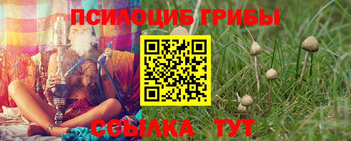 Галлюциногенные грибы прущие грибы  Псилоцибиновые грибы мухоморы  наркотики  Новодвинск 